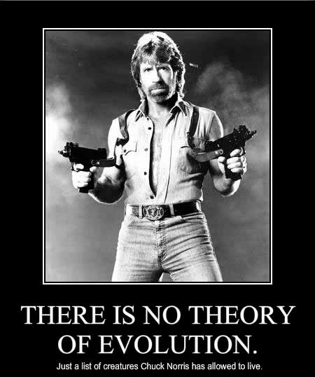 Chuck Norris.jpg