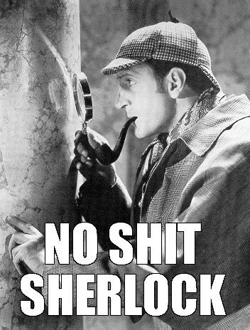no shit sherlock 2.jpg