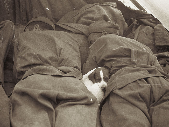 Russians soldiers sleeping with puppy, Prague, Georgy Lipskerov 1945.jpg