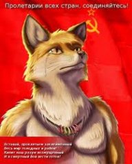 SovietFox